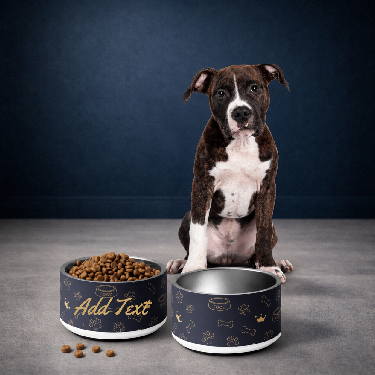 Luxury Personalized and Custom Double-Walled Stainless Steel antimicrobial, unique, modern, and classic Dog bowl collection.
