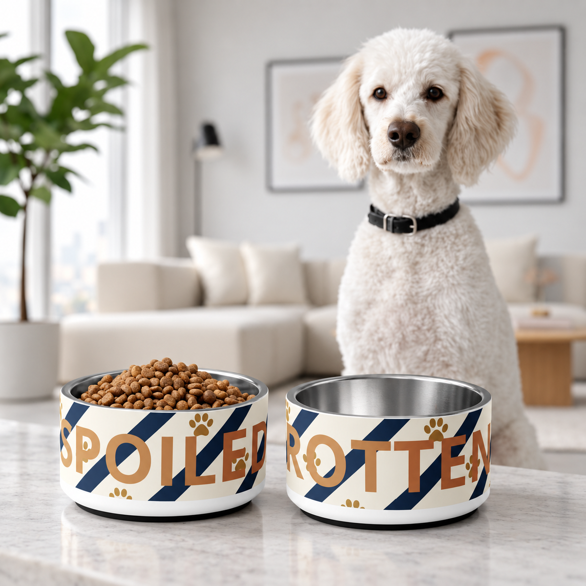 Medium poodle sits a in light cream living room with stainless steel dog bowl set 'Spoiled ' and 'Rotten'