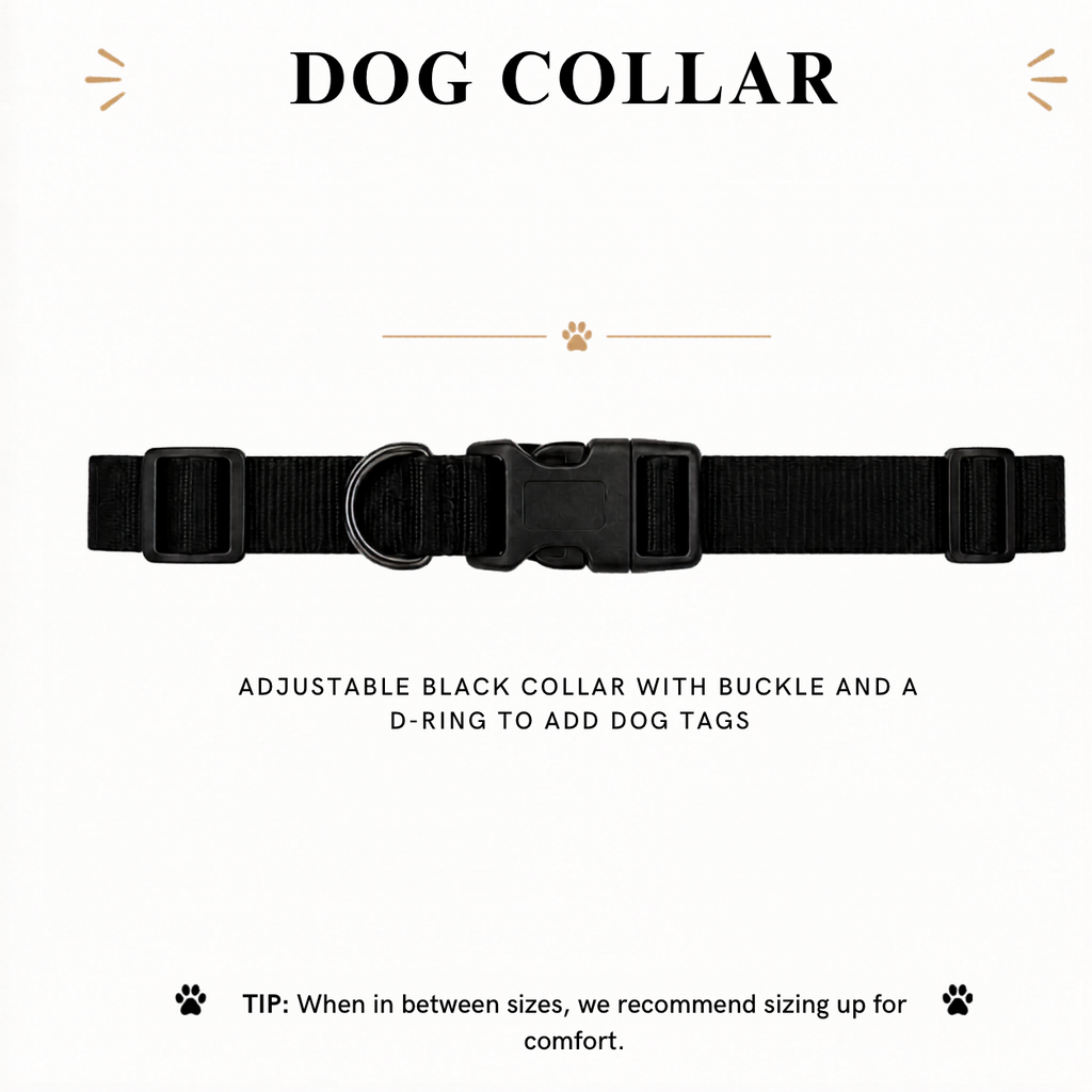 Uncommon Classic Luxe Icon Dog Collar - Blue S, L XL