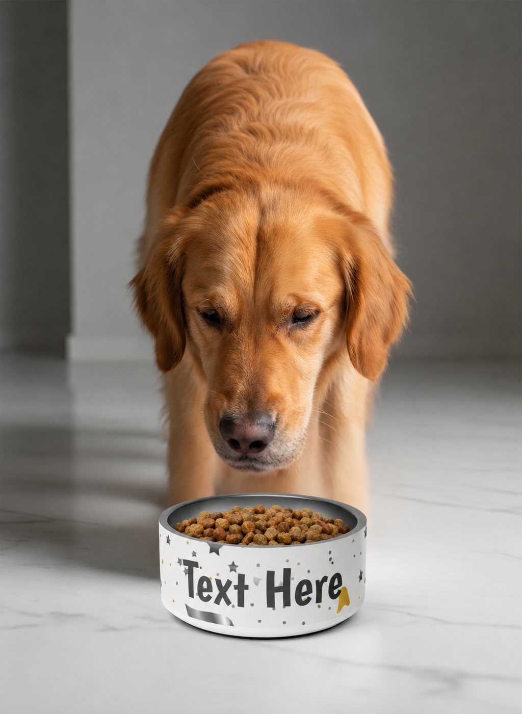 Personalized Stainless Steel, Dog Bowl Modern Pattern 18 oz. & 32oz.