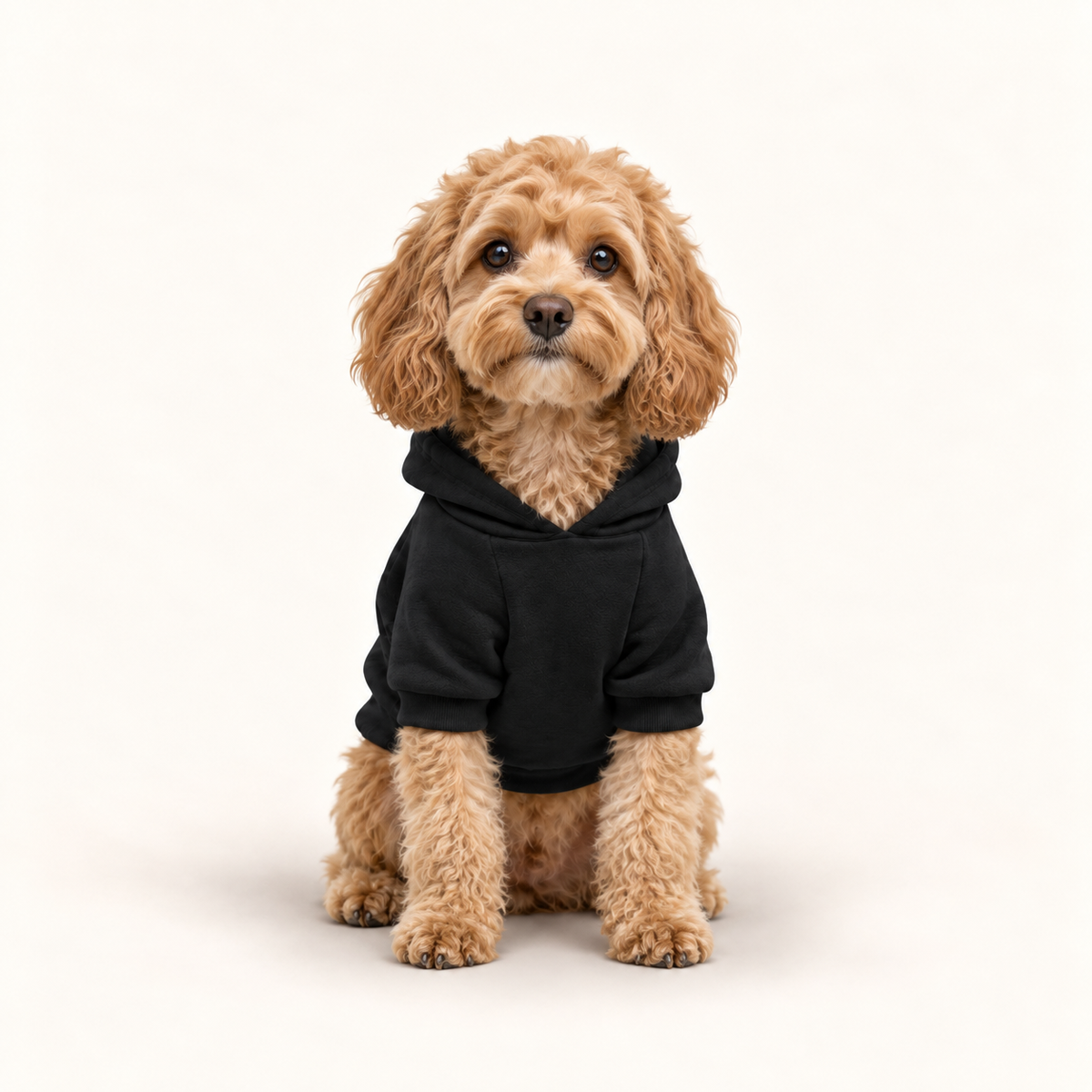 Dog Hoodie — Spoiled Rotten Various Colors S-2XL