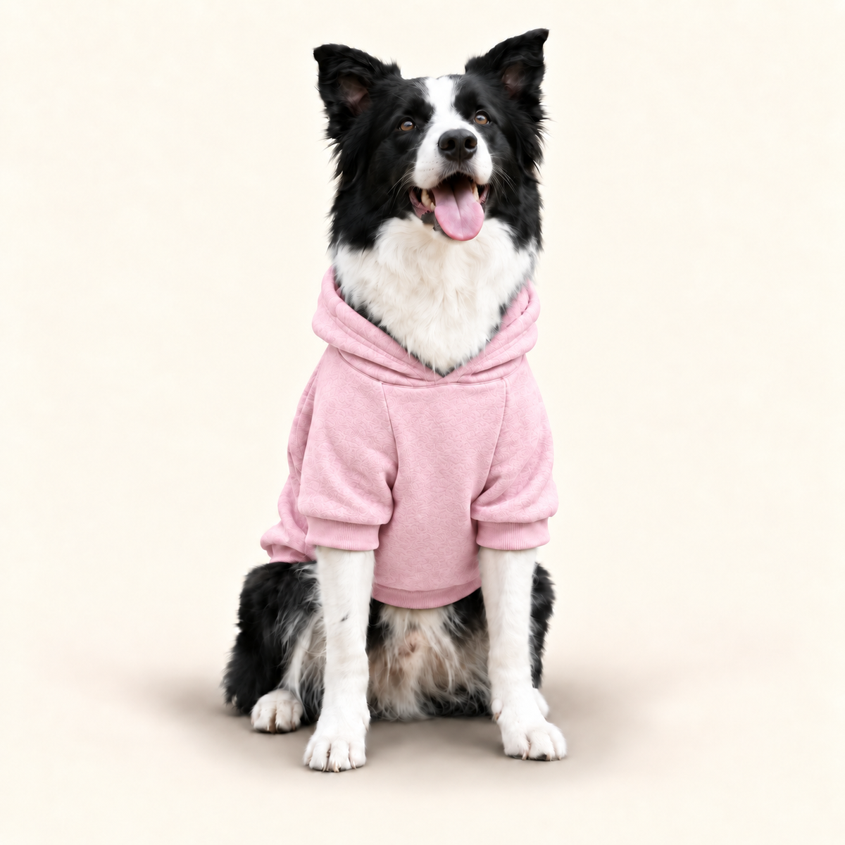 Dog Hoodie — Spoiled Rotten Various Colors S-2XL