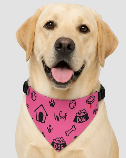 Dog wearing a pink collar with black patterns on a white background