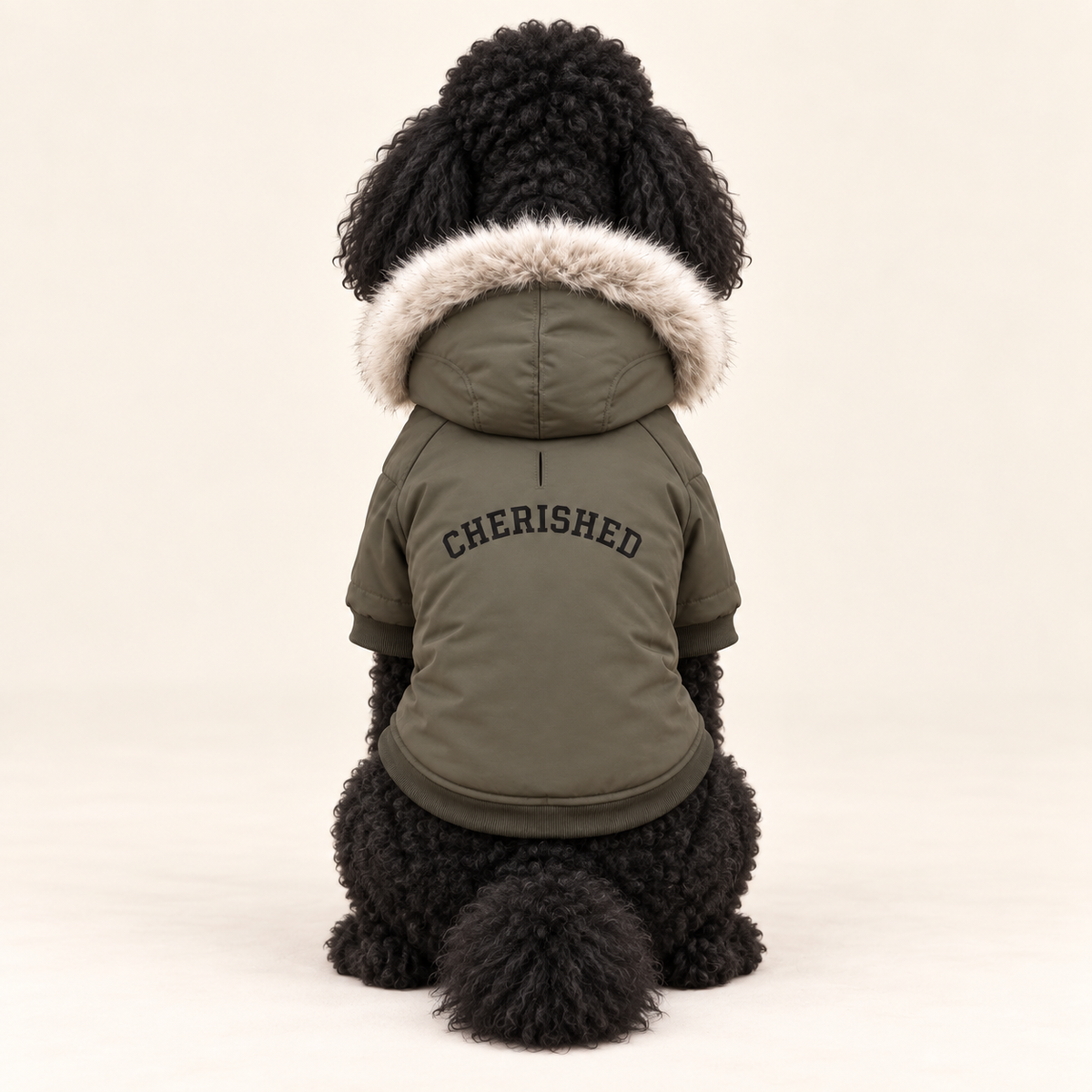 A personalized black poodle wearing a parka with a beige faux-fur trimmed hood, white background 