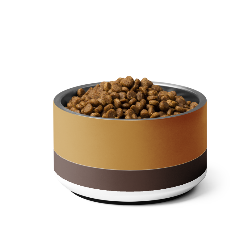 Uncommon Classic Steel Dog Bowl –Champagne Gold / Espresso-18 oz