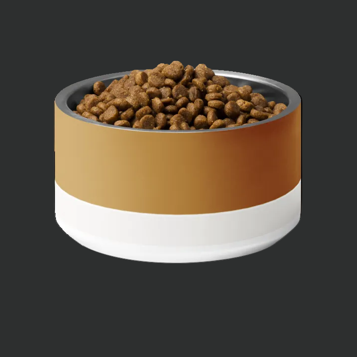 Dog food in a two tone stainless steel dog  bowl on a white background