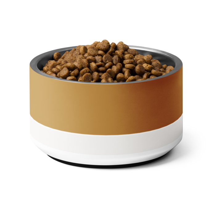 Classic Dog Bowl Stainless Steel - Champagne Gold / Ivory 18 oz