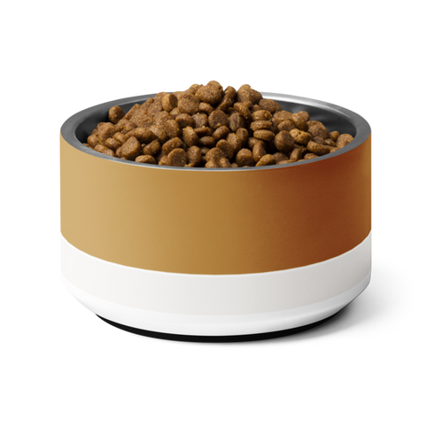 Classic Champagne Gold/Ivory stainless steel, 18 oz. dog bowl filled with kibble. Uncommon Canine Couture Co luxury pet bowl.