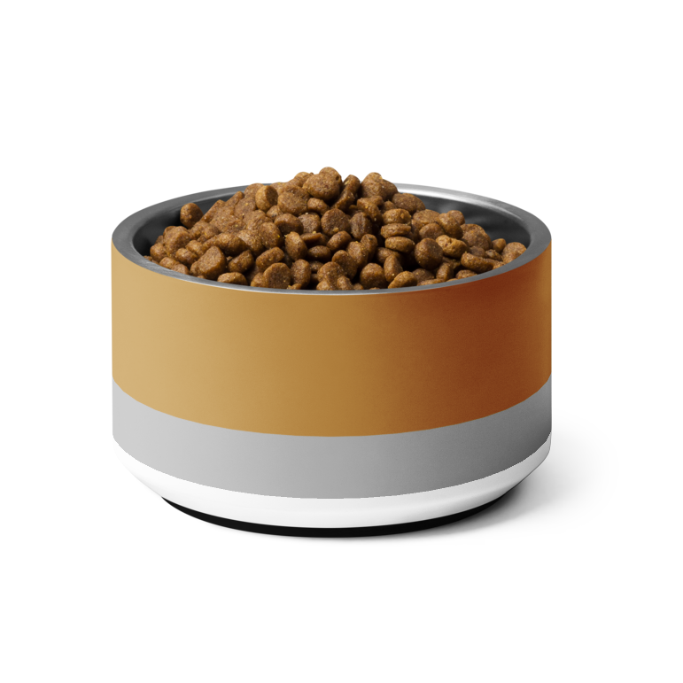 Pet food bowl with pet food on a white background