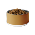 Uncommon Classic Dog Bowl Stainless Steel - Champagne Gold 18 oz