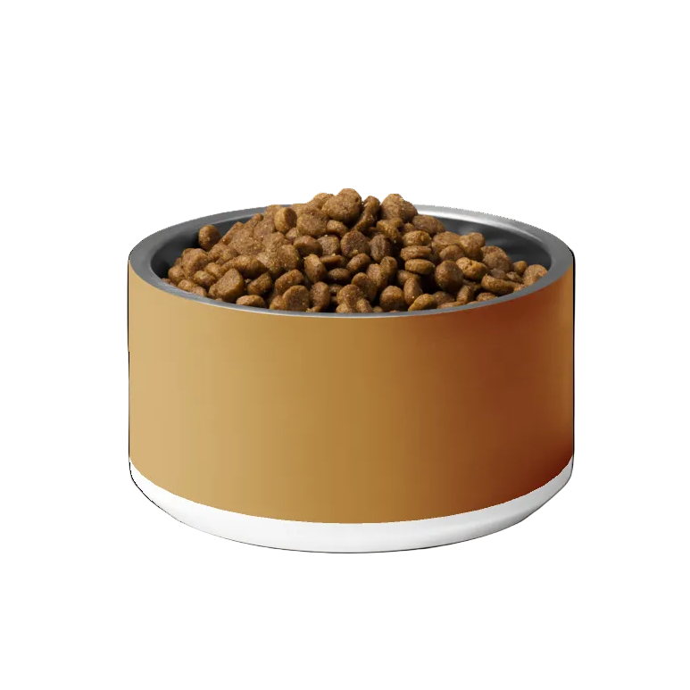 Classic Dog Bowl Stainless Steel - Champagne Gold 18 oz