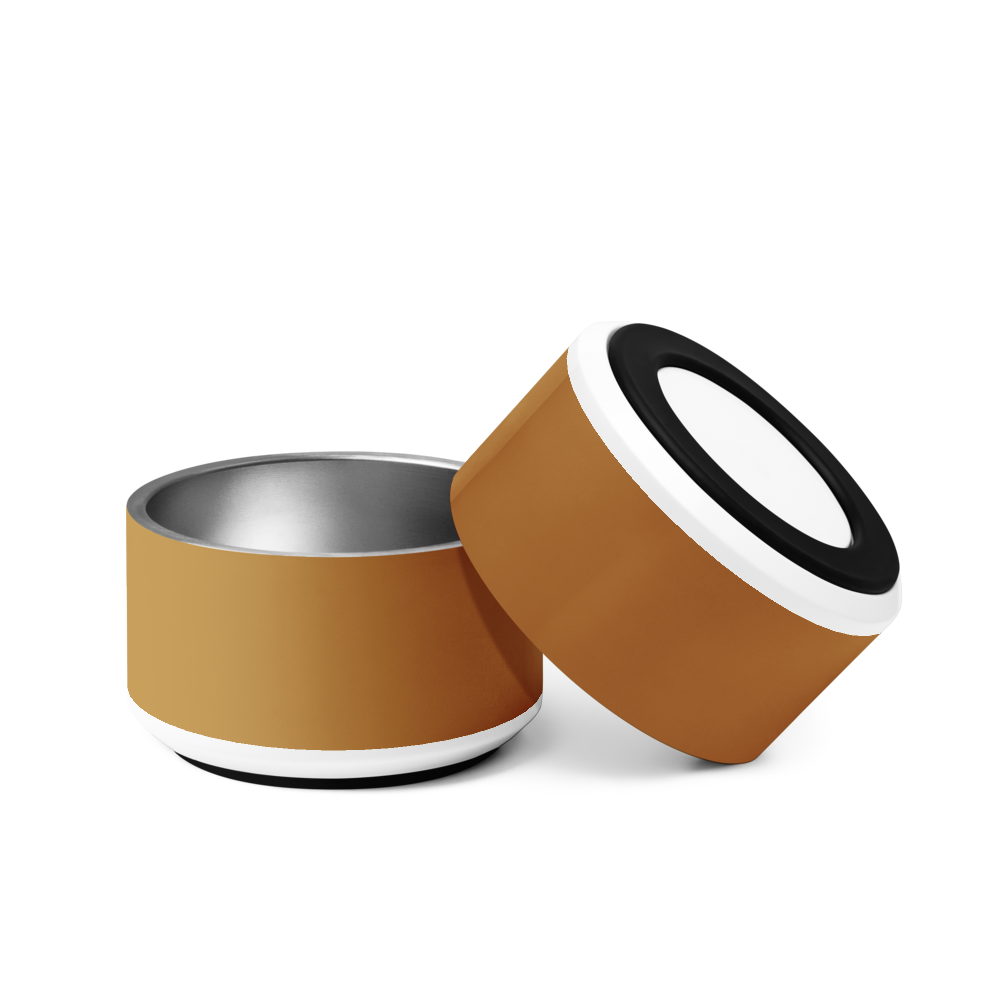 Classic Dog Bowl Stainless Steel - Champagne Gold 18 oz
