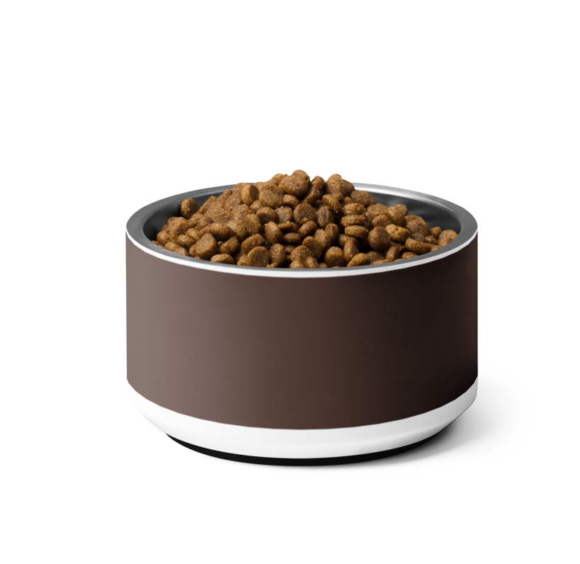 Uncommon Classic Dog Bowl Stainless Steel - Espresso 18 oz