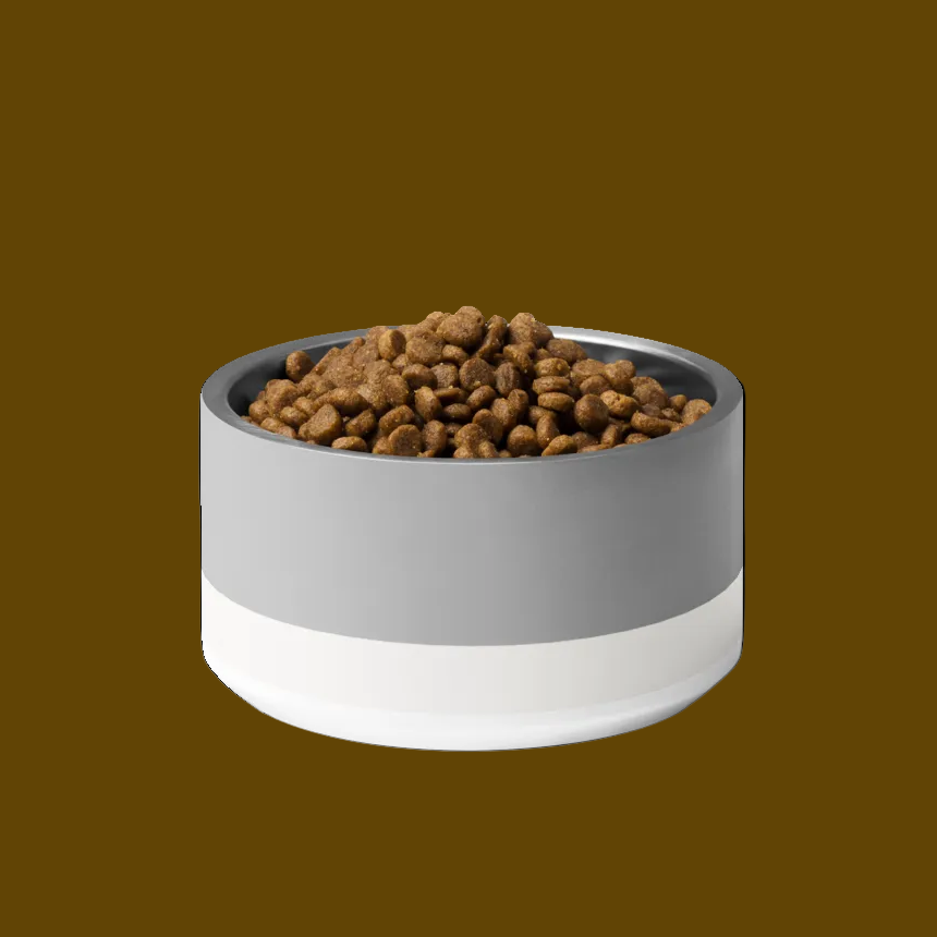 Gray and white pet bowl filled with kibble on a white background