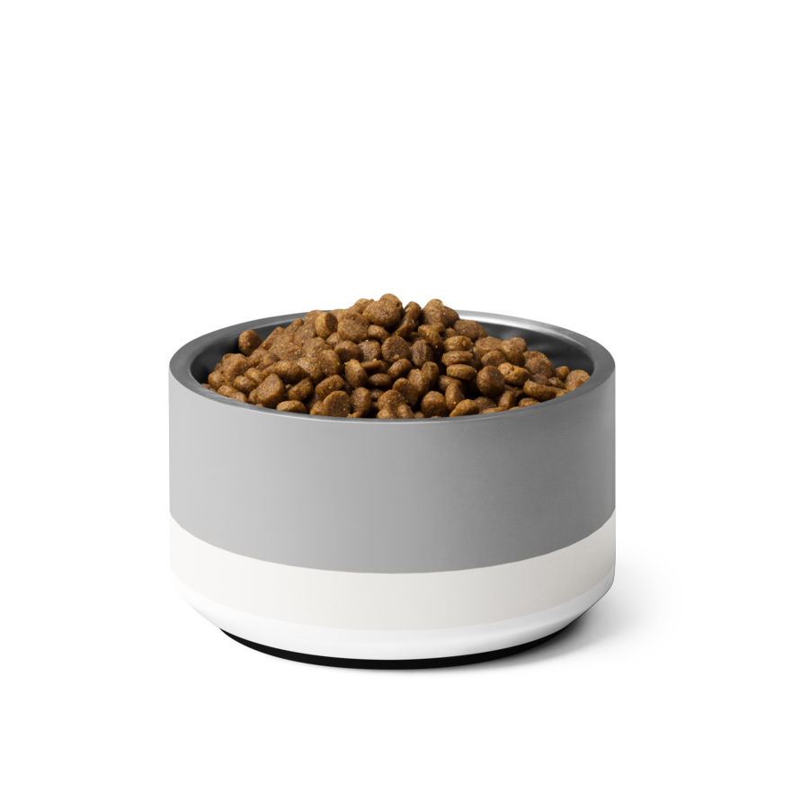 Classic Dog Bowl Stainless Steel - Soft Graphite / Ivory 18, 32 oz