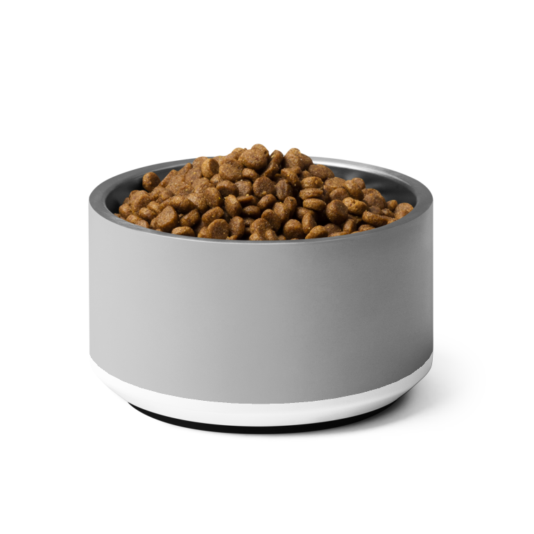 Gray pet bowl with dog food on a white background