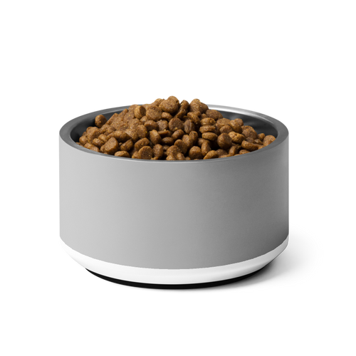 Gray pet bowl with dog food on a white background