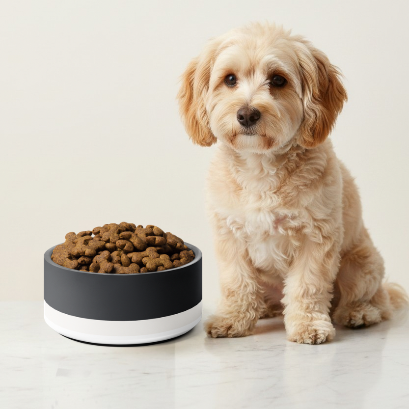 Uncommon Classic Dog Bowl Stainless Steel - Dark Charcoal / Ivory 18, 32 oz
