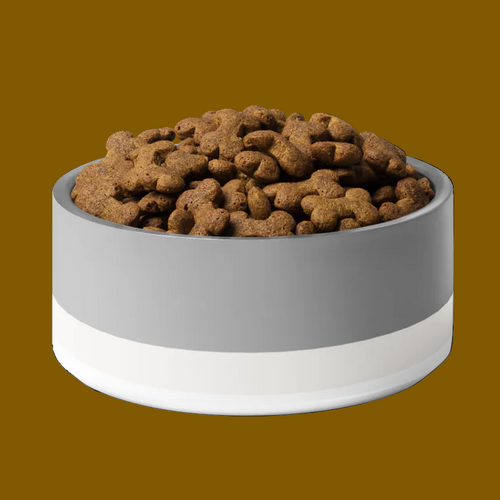 Gray and white pet bowl filled with dog food on a white background