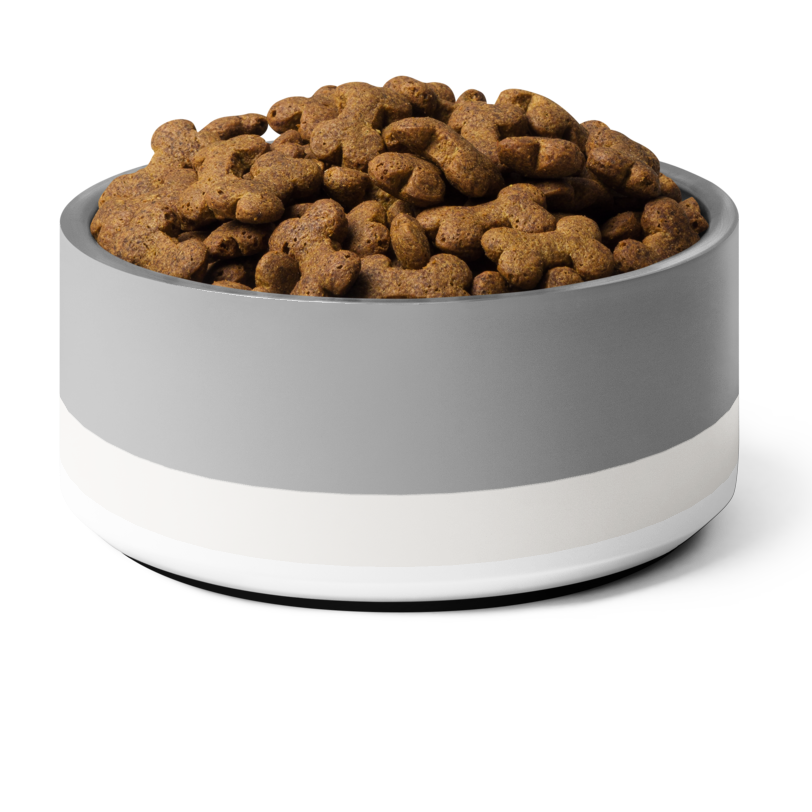 Classic Dog Bowl Stainless Steel - Soft Graphite / Ivory 18, 32 oz
