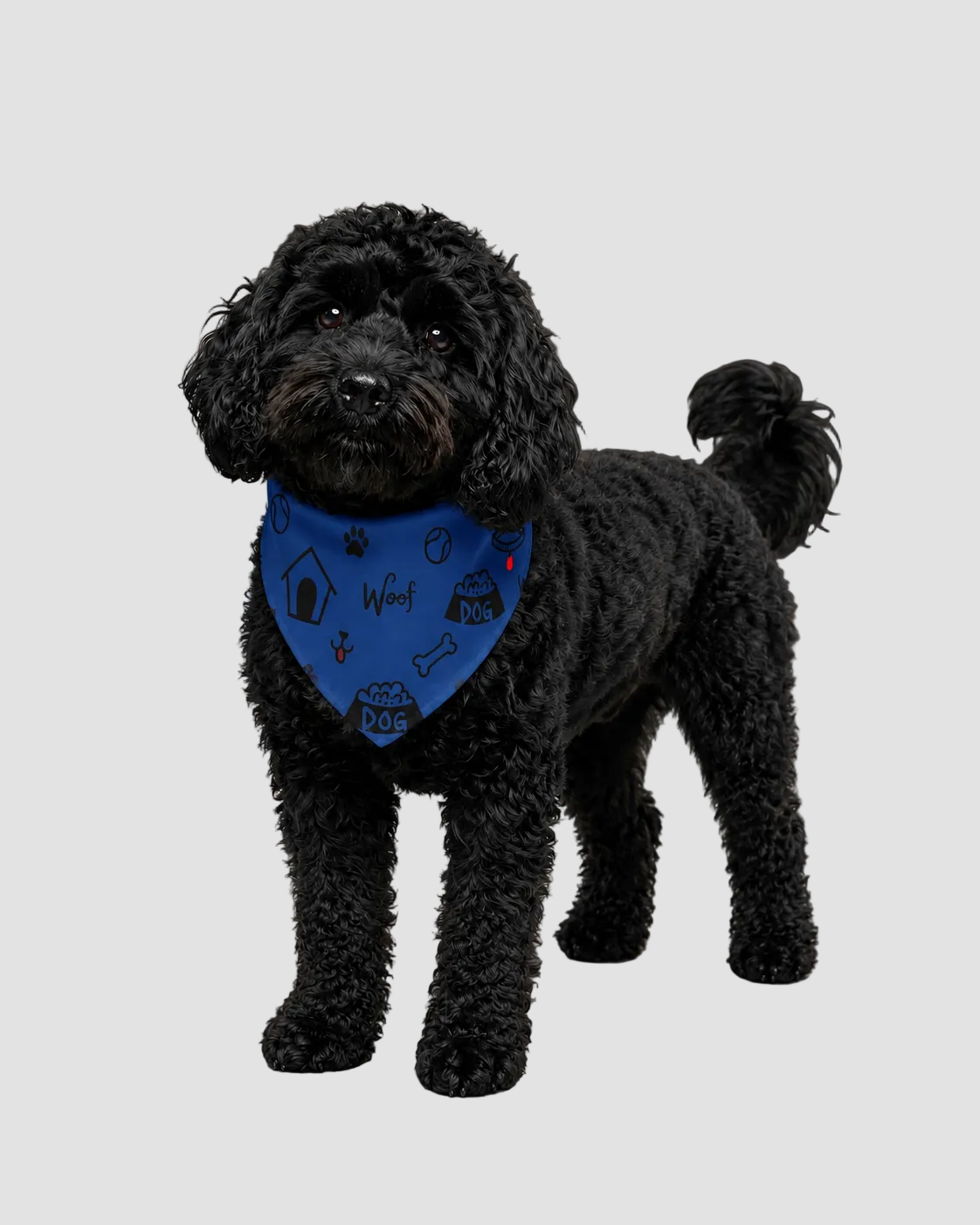 Uncommon Classic Luxe Icon Dog Collar - Bandana Blue S, L XL