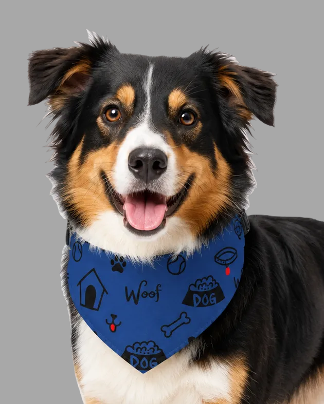 Dog wearing a blue collar-with paw prints, 'Woof', and dog-themed designs on a white background