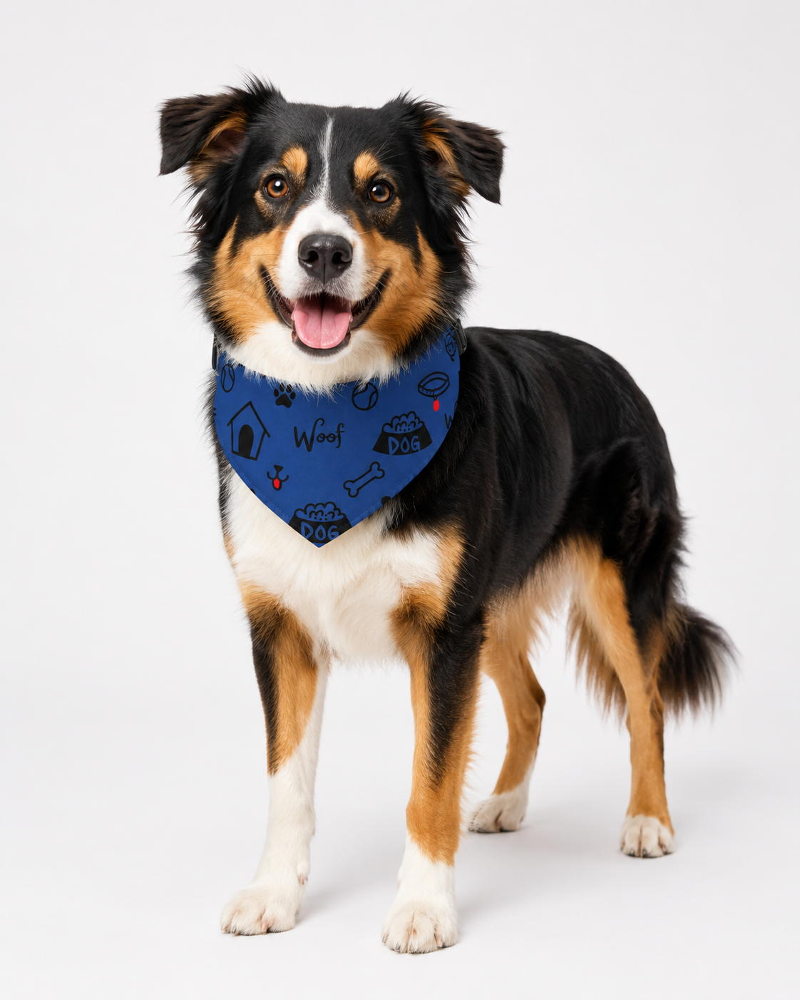 Uncommon Classic Luxe Icon Dog Collar - Bandana Blue S, L XL