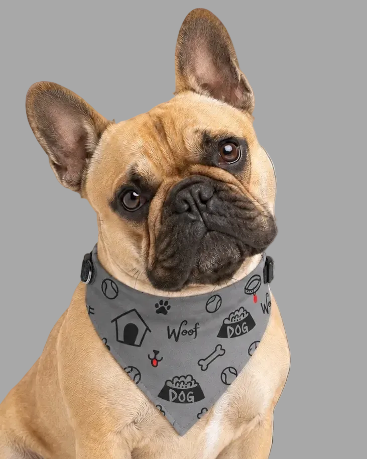 Uncommon Classic Luxe Icon Dog Collar-Bandana,Gray S, L, & XL