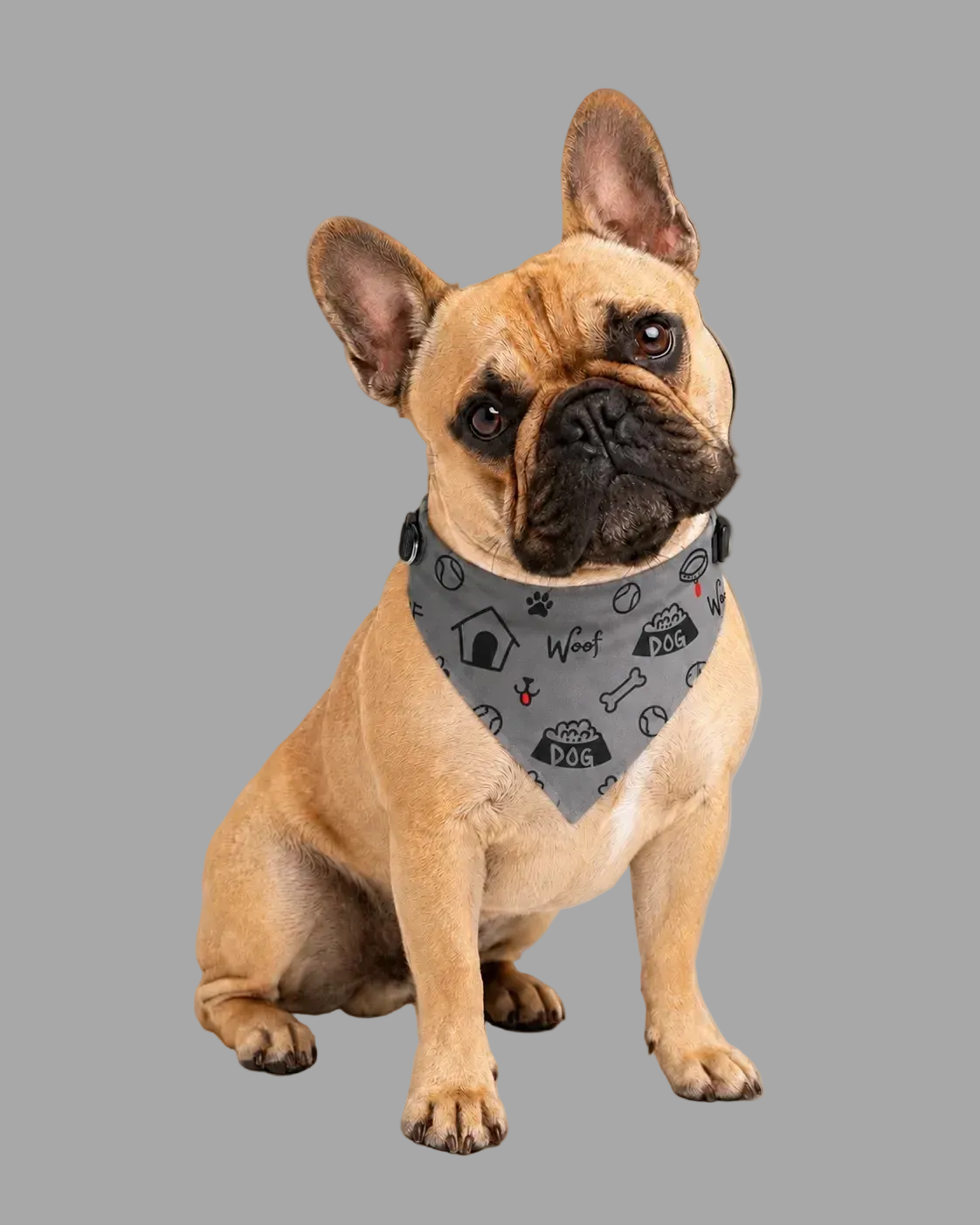 Uncommon Classic Luxe Icon Dog Collar-Bandana,Gray S, L, & XL