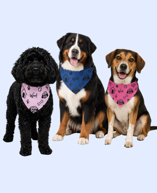 Three dogs breeds and sizes wearing the dog icon graphics collar bandana, by Uncommon Canine Couture Co. 