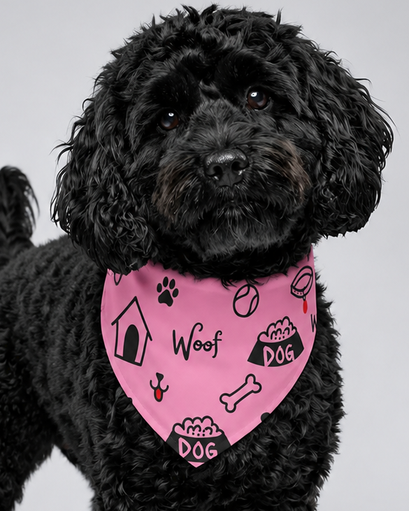 Black dog wearing a pink collar with modern icon themed designs on a gray background