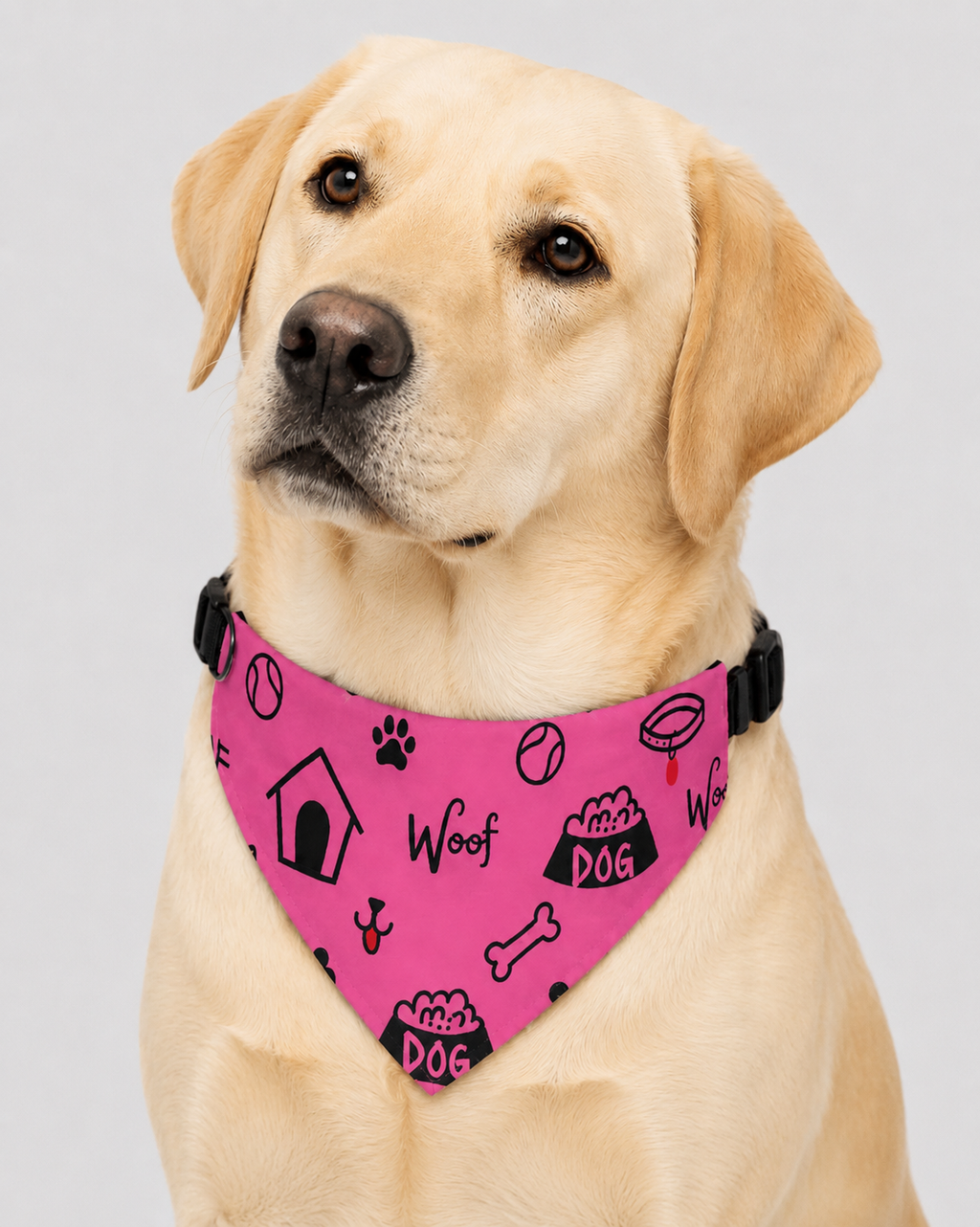 Dog wearing a pink collar bandana combination with black icon patterns on a white background