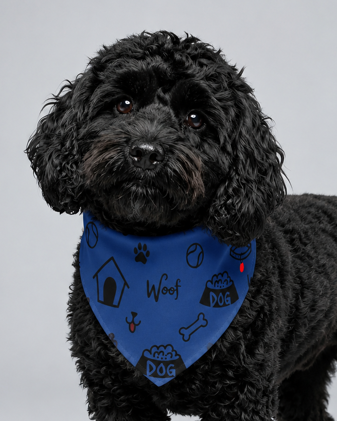 Uncommon Classic Luxe Icon Dog Collar - Blue S, L XL