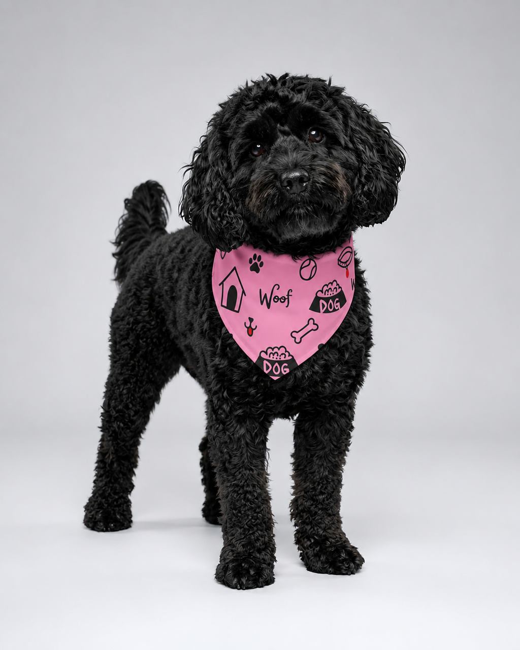 Black dog wearing a pink bandana with paw prints and text on a gray background
