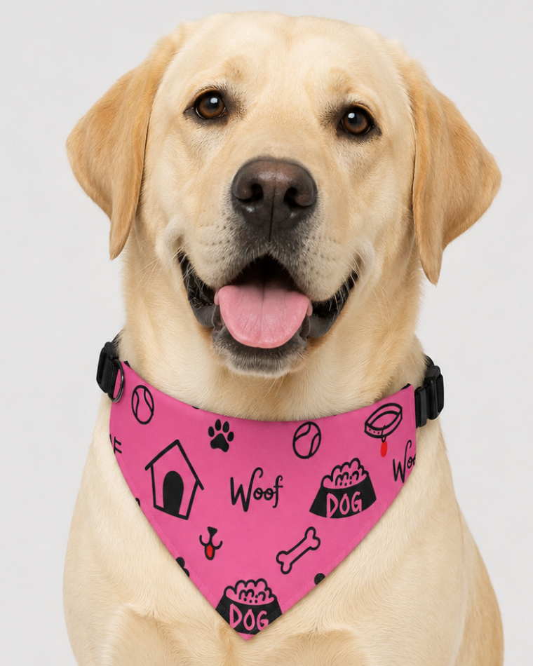Dog wearing a pink collar with black patterns on a white background