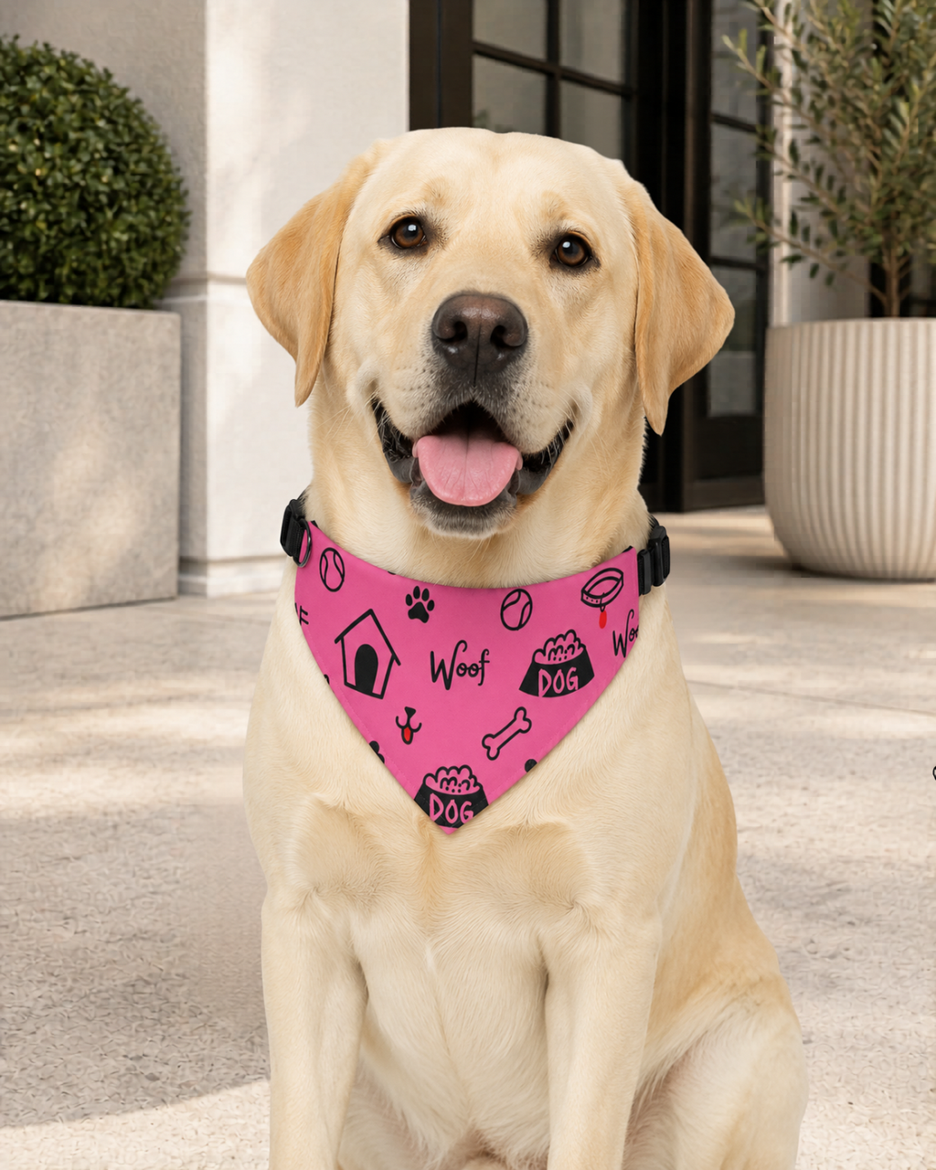 Uncommon Classic Luxe Icon Dog Collar - Brilliant Rose S, L, & LX
