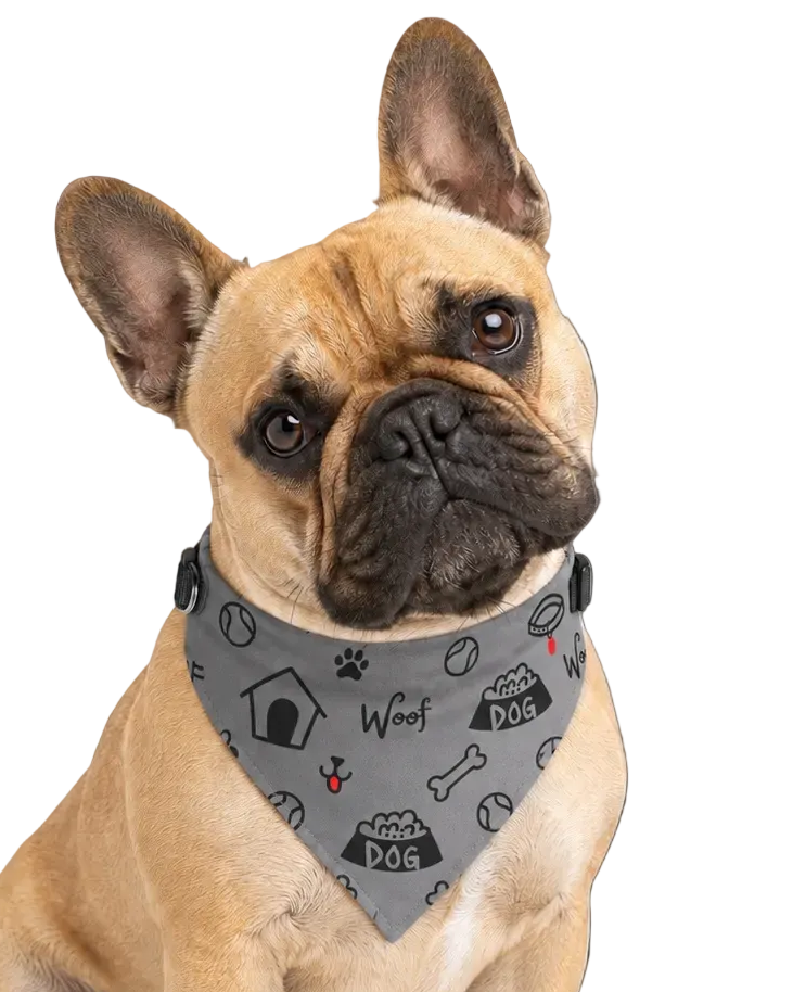 Uncommon Classic Luxe Icon Dog Collar- Gray S, L, & XL