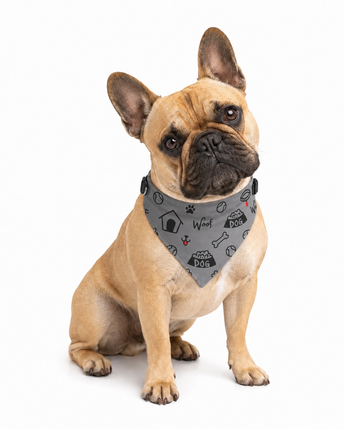 Uncommon Classic Luxe Personalized Stainless Steel Dog Bowl 18, 32 oz