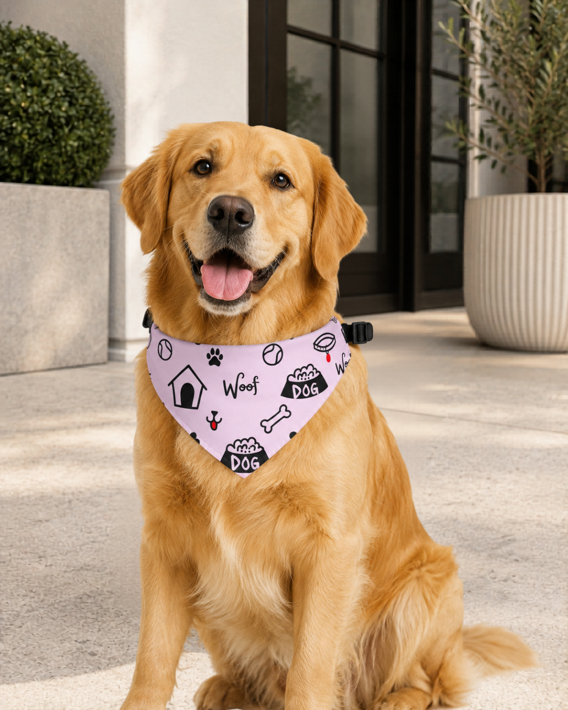 Dog wearing a collar with paw prints and dog-themed designs, sitting outdoors.