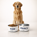 Dog sitting next to two personalized dog bowls with food on a white background
