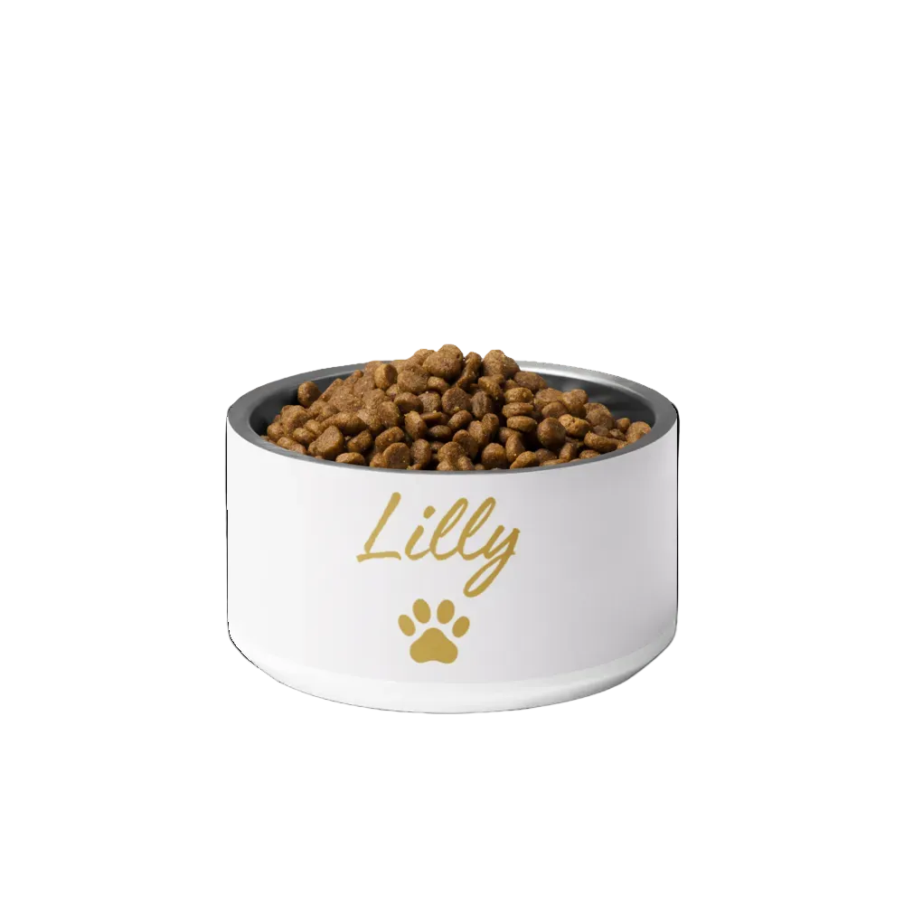 White pet bowl with 'Lilly' and a paw print, filled with pet food on a white background