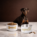 Bone Appetite Luxury Dog Bowl Stainless Steel Set 18 oz.