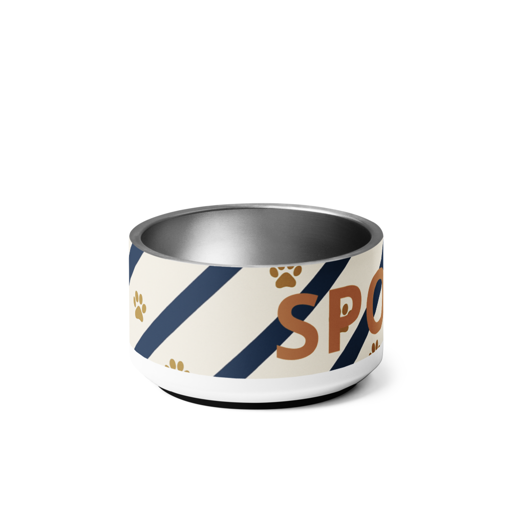 Spoiled luxury stainless steel dog bowl, food and water bowl, 18 oz with anti-slip base, right side