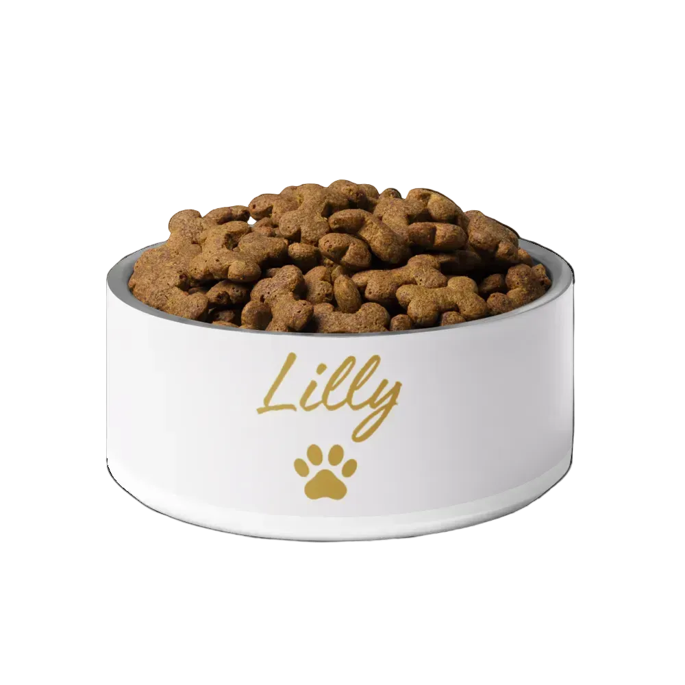 Ivory Whisper pet bowl with 'Lilly' and a paw print, filled with dog food on a white background