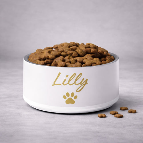 White bowl with 'Lilly' and a paw print, filled with dog food on a gray background