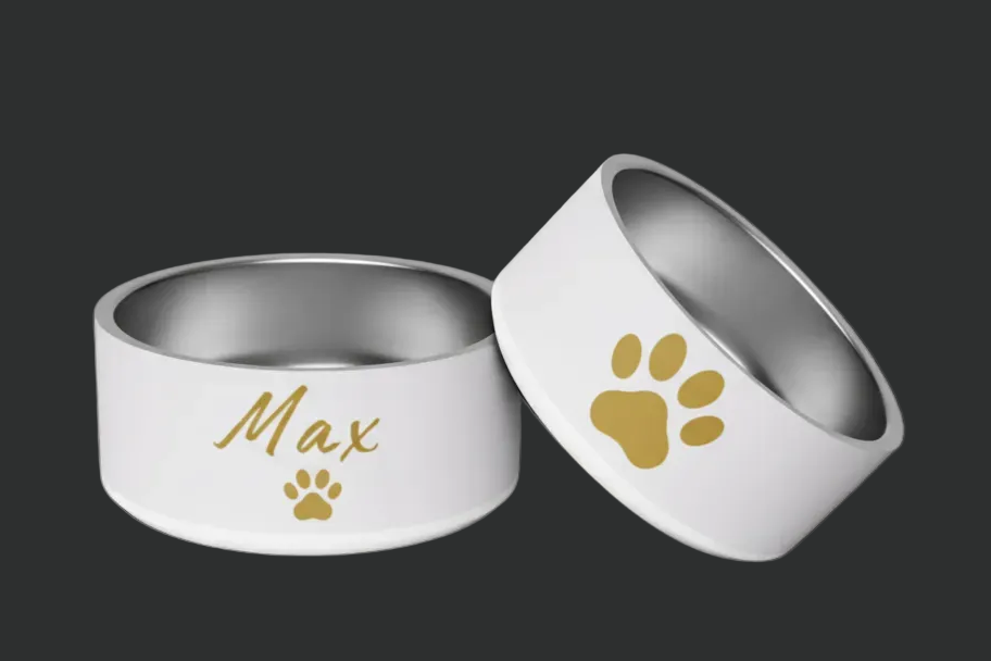 Pet bowl set with 'Max' and paw print design on a wooden surface.
