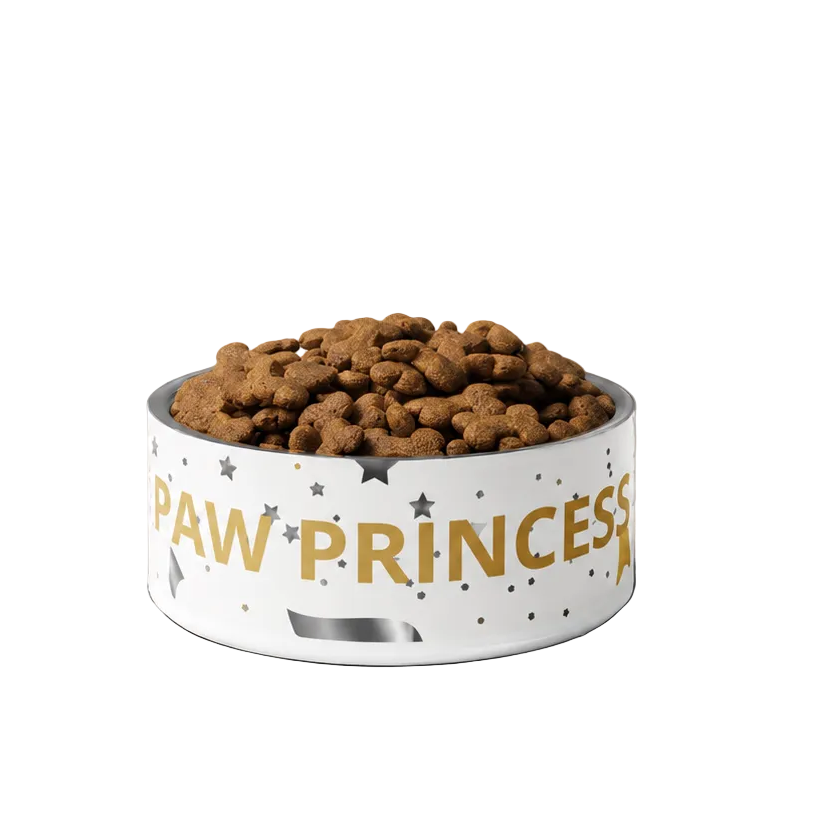 Dog bowl, text 'PAW PRINCESS' in gold and silver modern accents, set against  white background