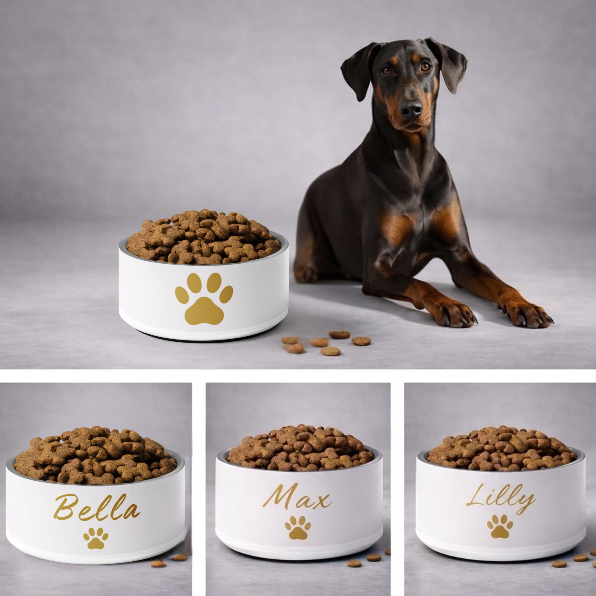 Bella Engraved Stainless Steel Dog Bowl, Ivory Whisper and Gold,18 oz and 32 oz.