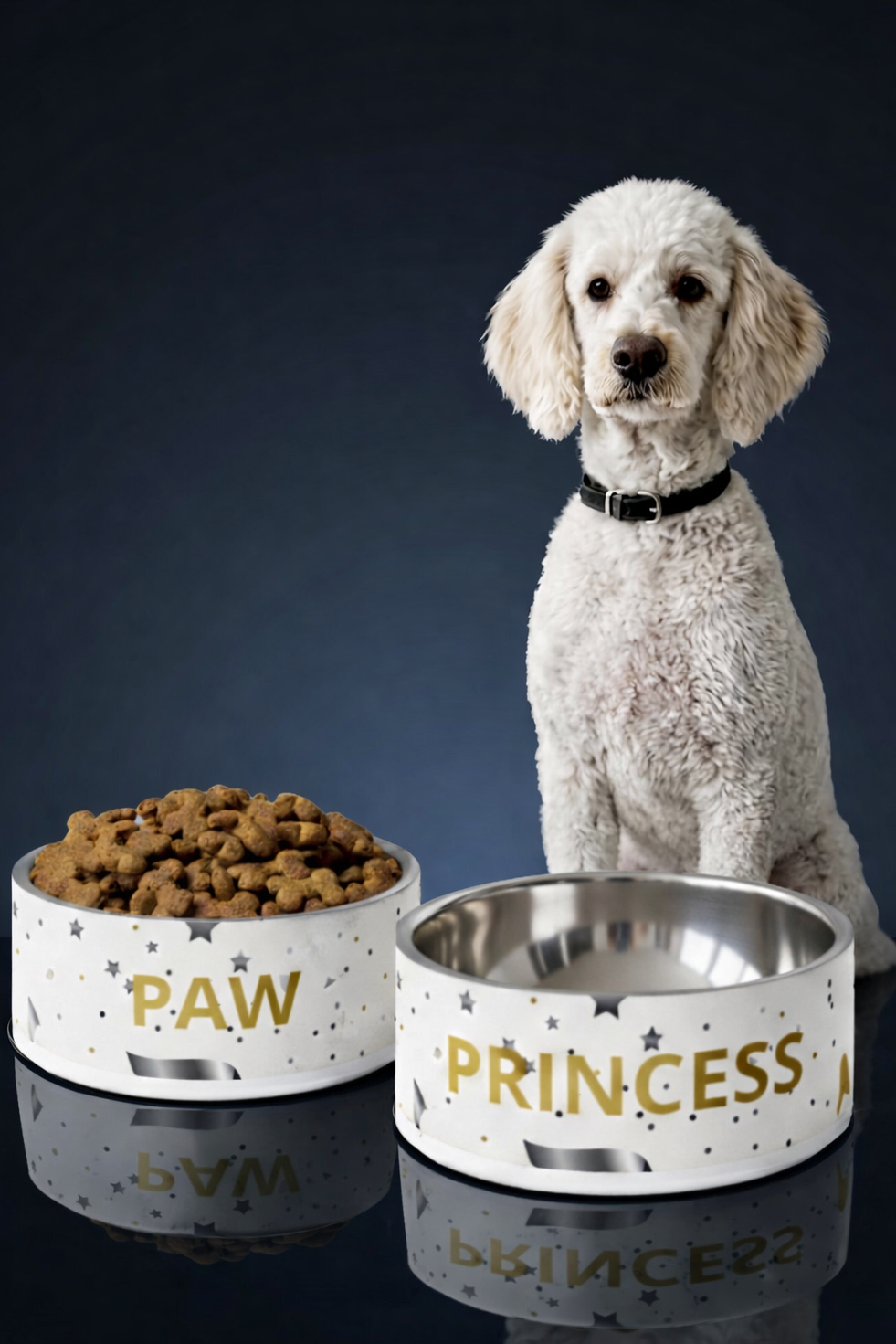 White dog sitting next to two pet bowls, one labeled 'Paw' and the other 'Princess', on a reflective surface with a dark background.