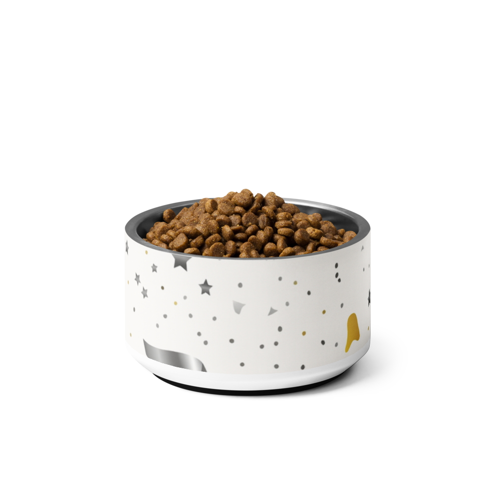  Ivory modern-pattern stainless steel dog bowl with dry kibble on a white background.